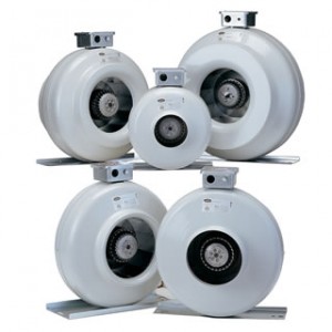 white round fans