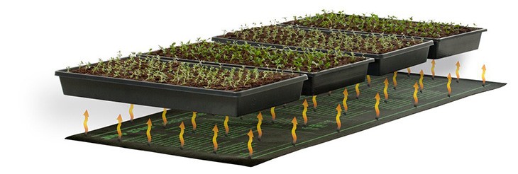 three black trays with plants on top of a heat mat