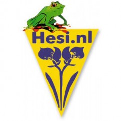 a green frog on top of an yellow logo hesi
