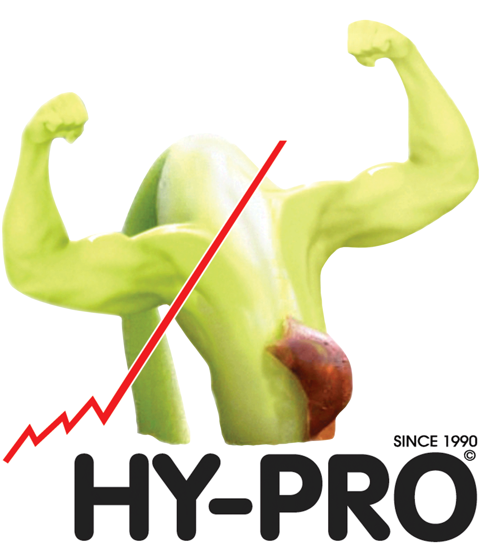 λογότυπο πράσινο hy pro
