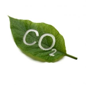 πράσινο φύλλο επιγραφή CO2
