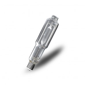 glass bulb on a white background