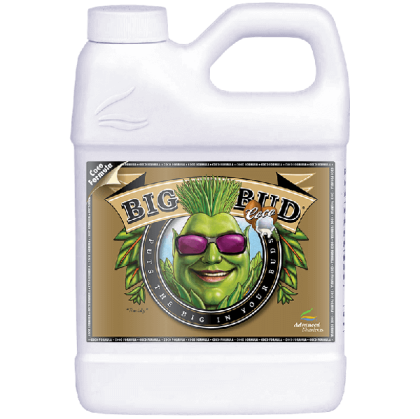 Big Bud Coco 500 ml – Stimulator für Gewicht und Farbvolumen in Kokosnuss
