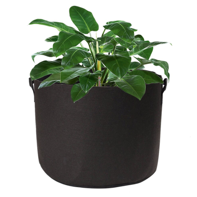 Tan Fabric Pot 4L - Geotextile flowerpot