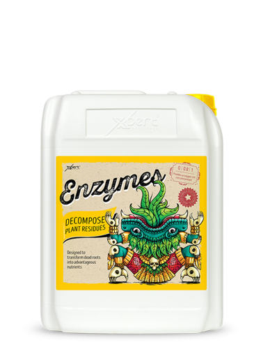 Enzymes 10L - Enzyme supplement
