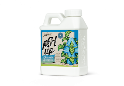 pH Up for Growth and Bloom 250ml - regulator for increasing pH