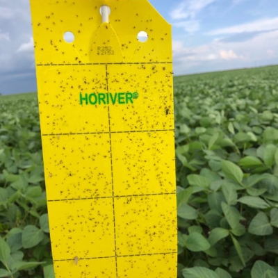 Horiver - sticky strips against flying insects