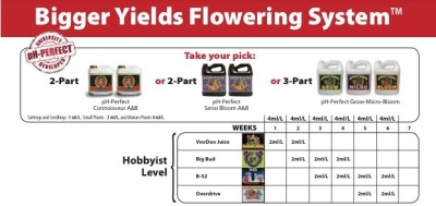 "Flowering Conni Bloom" grow  kit 