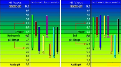 „pH Full Pack“ – Set mit pH-Regulatoren
