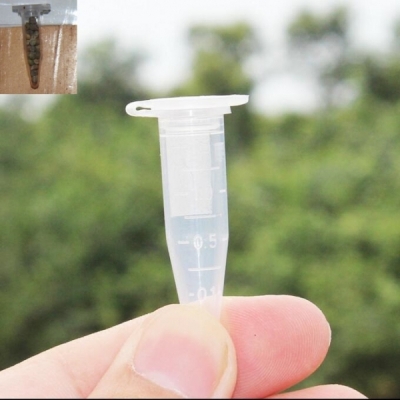 Plastic Seed Bottle 0.5ml