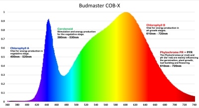 Budmaster II HC-4 LED Light – LED-Lampe für Wachstum und Blüte