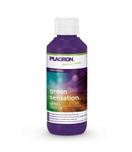 Green Sensation 100 ml – Blühstimulator