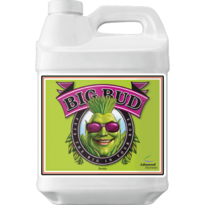 Big Bud 10L - stimulator al greutății și volumului culorilor