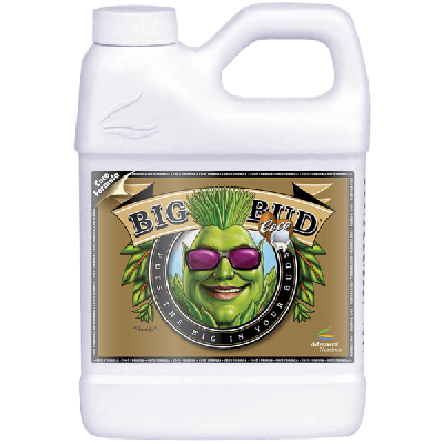Big Bud Coco 250 ml – Stimulator für Gewicht und Farbvolumen in Kokosnuss