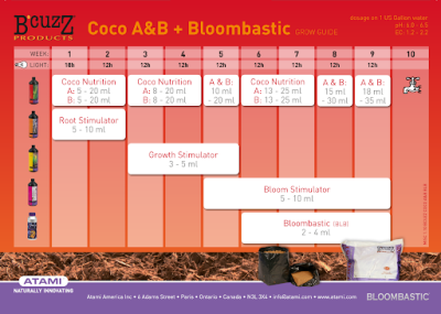 BLOOMBASTIC 50ml – Blühstimulator für die letzten Wochen