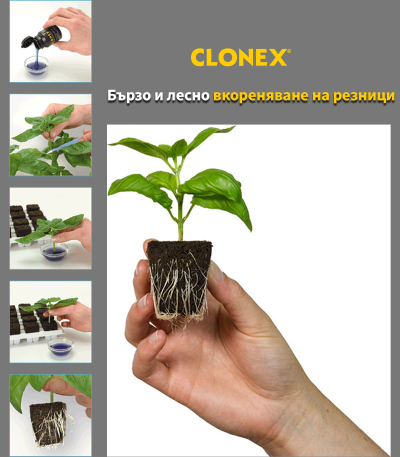 Clonex 50 ml – Gel zum Klonen