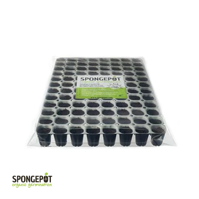 Spongepot-Tablett 96 – Torfblöcke zum Keimen