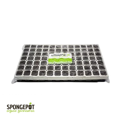 Spongepot-Tablett 96 – Torfblöcke zum Keimen