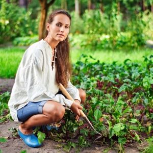 Humic and fulvic acids for plants