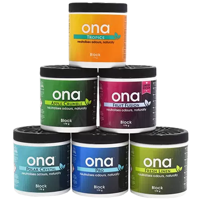 Ona