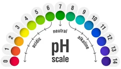 pH