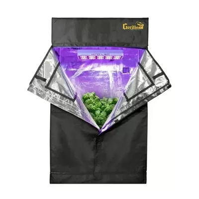 SETSGROW BOXES