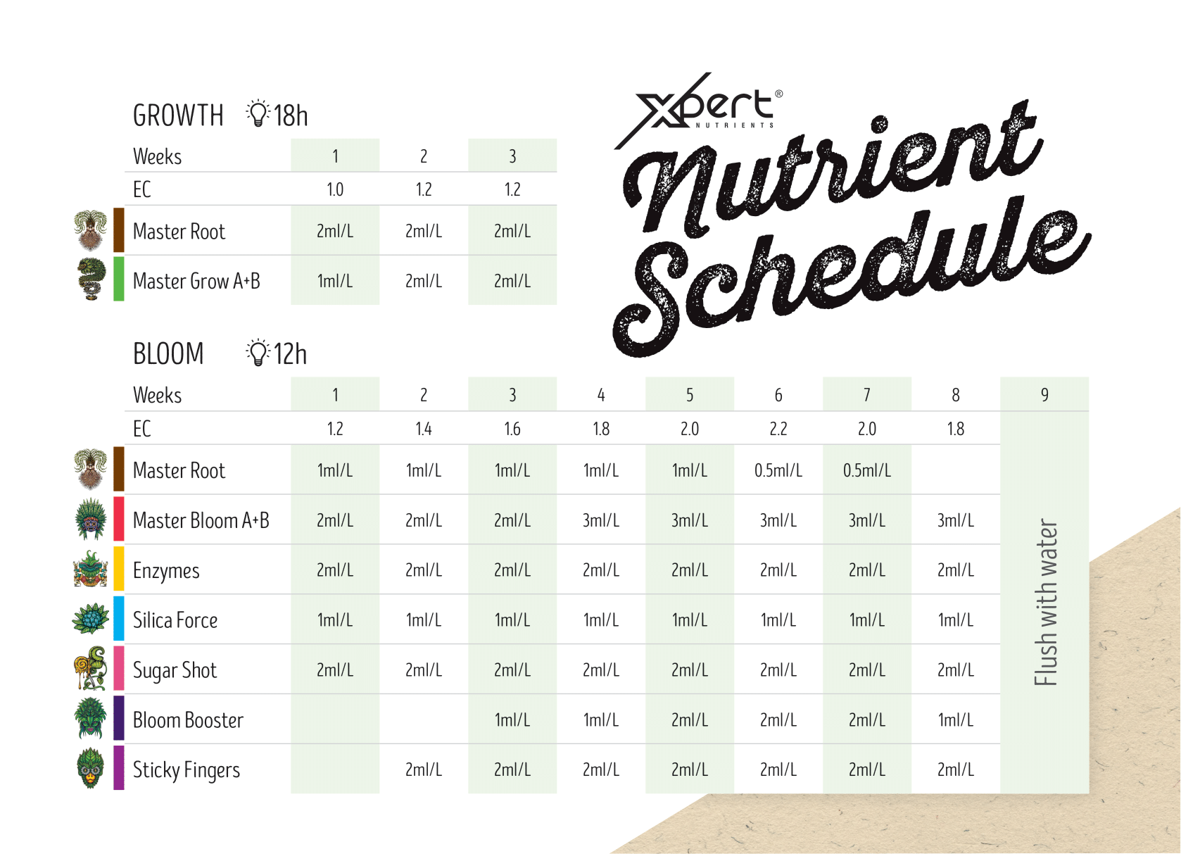 xpert schedule