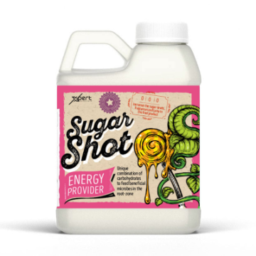 Sugar Shot – Kohlenhydratergänzungsmittel