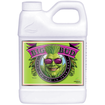 Big Bud - Διεγέρτης βάρους και όγκου χρώματος