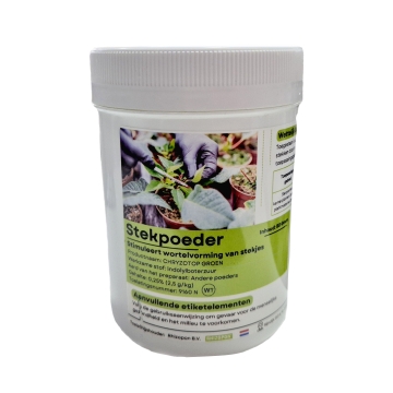 Rhizopon Chrysotop Green 0.25% 80g - powder for rooting