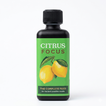 Citrus Focus 300 ml – Flüssigdünger für Zitruspflanzen