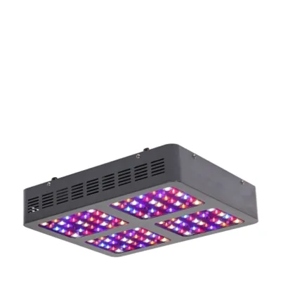 600W LED