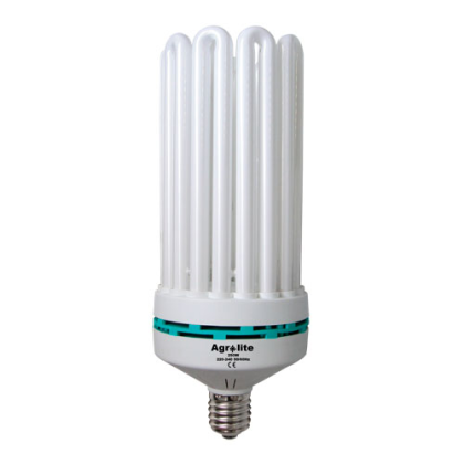 Compact CFL 150W blue - growth lamp