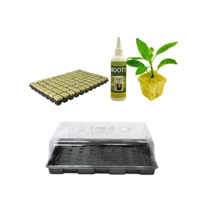 Set for seedlings - Propagator, Mineral wool blocks, Root !T gel