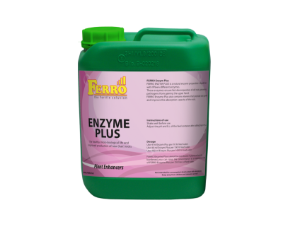 Ferro Enzyme Plus - supliment enzimatic