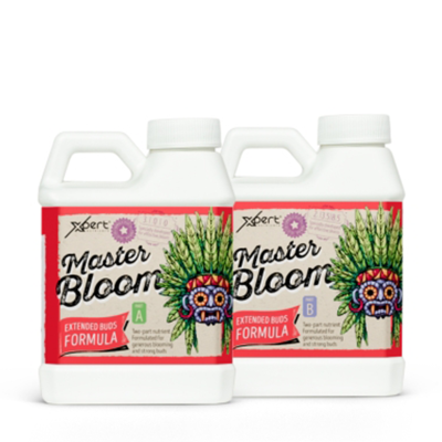 Master Bloom A + B - mineral fertilizer for flowering