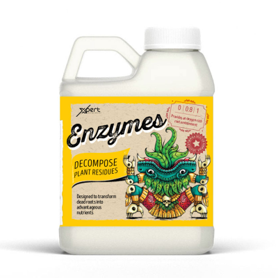 Enzymes - Enzyme supplement