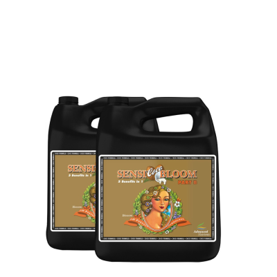 Sensi Coco Bloom A+B - mineral fertilizer for flowering in coconut