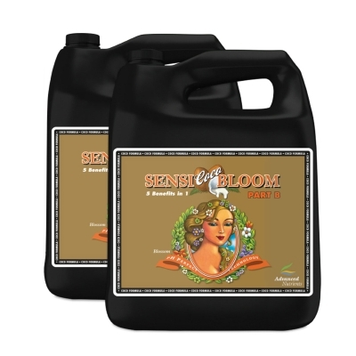 Sensi Coco Bloom A+B - mineral fertilizer for flowering in coconut