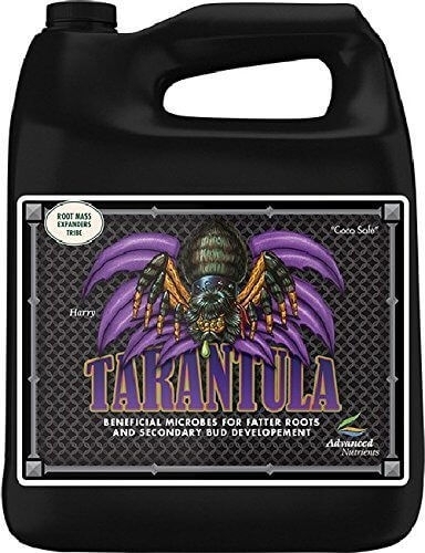 Tarantula - stimulator al rădăcinilor