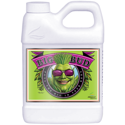 Big Bud – Stimulator für Farbgewicht und -volumen