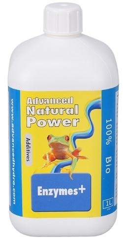 Enzymes+ - enzyme supplement