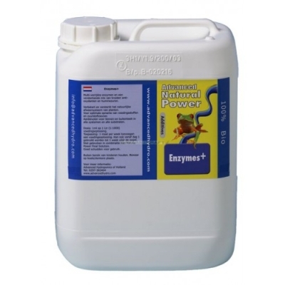Enzymes+ - supliment enzimatic