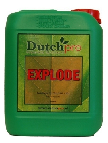 DutchPro Explode - Blühstimulator