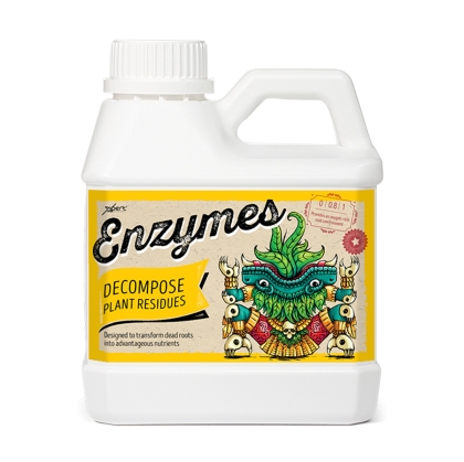 Ένζυμα - Συμπλήρωμα ενζύμου