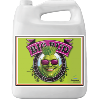 Big Bud 4L - διεγέρτης βάρους και όγκου χρώματος