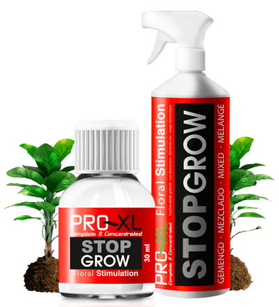 Stop Grow PRO XL 30 ml Konzentrat – Stimulator der frühen Blüte