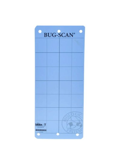 Bug-Scan BLUE – Streifen gegen Thripse