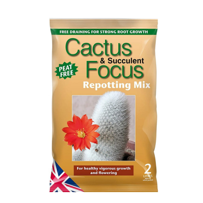 Cactus Focus & Succulent Repotting Mix 2L