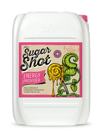 Sugar Shot 20L - συμπλήρωμα υδατανθράκων